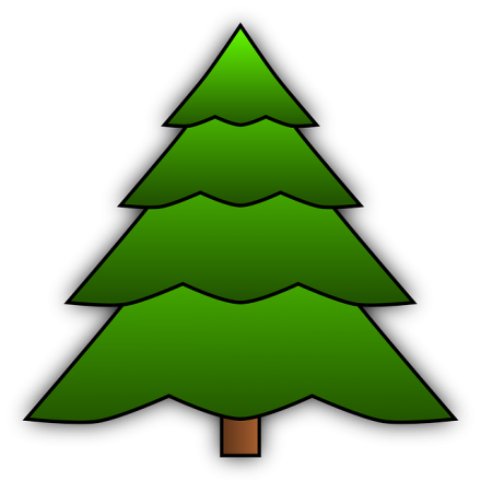 fir tree 147900 640
