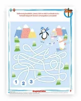 Bagolyfióka -Hócimborák kreatív foglalkoztató